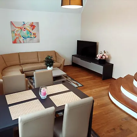 Apartmán Apartmanovy Dum Michael *