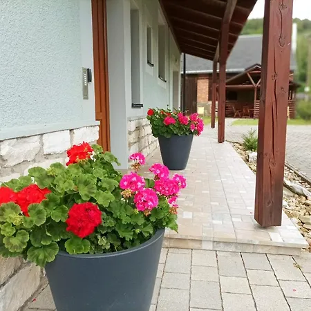 Apartmán Apartmanovy Dum Michael