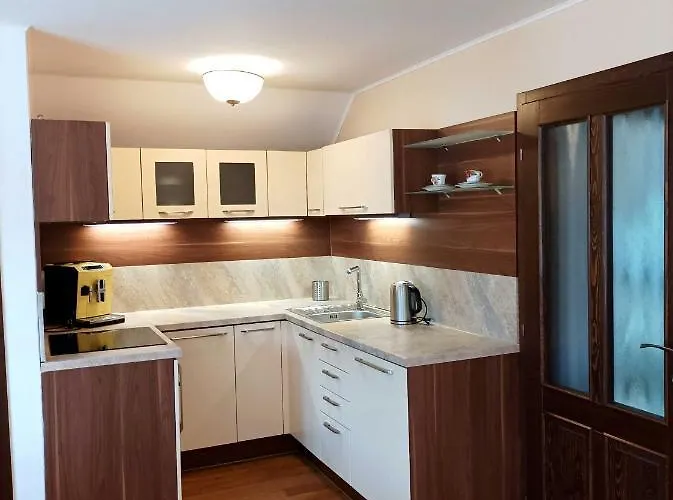 Apartament Apartmanovy Dum Michael